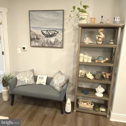 living area featuring wood-type flooring