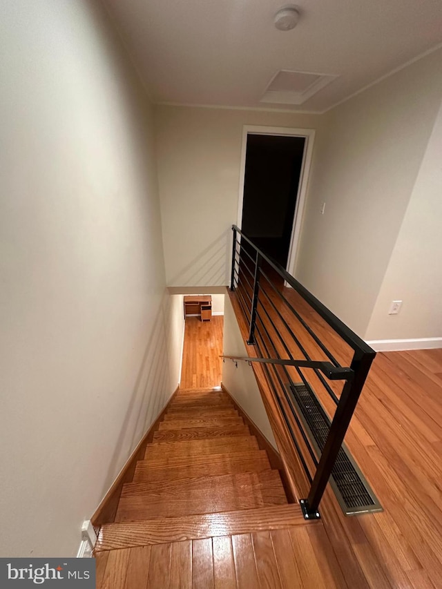 staircase with hardwood / wood-style floors