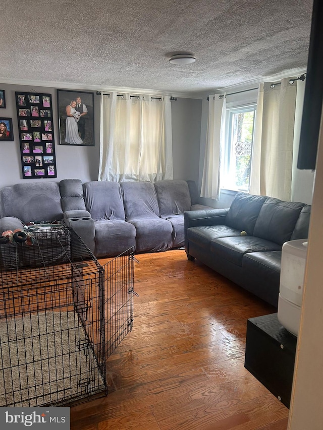 living room with wood-type flooring and a textured ceiling