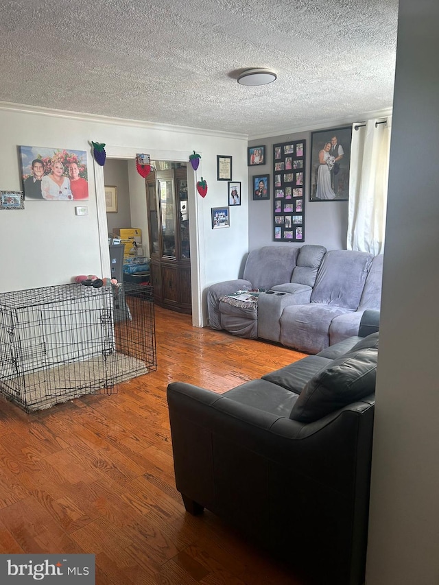 living room featuring crown molding, dark hardwood / wood-style floors, and a textured ceiling