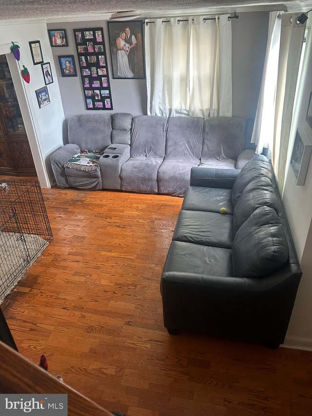 living room featuring dark wood-type flooring