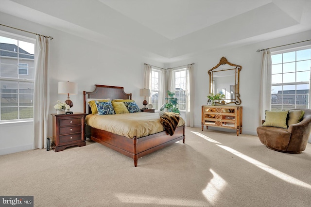 bedroom featuring a raised ceiling, multiple windows, and carpet