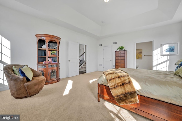 bedroom with a tray ceiling, ensuite bathroom, and carpet