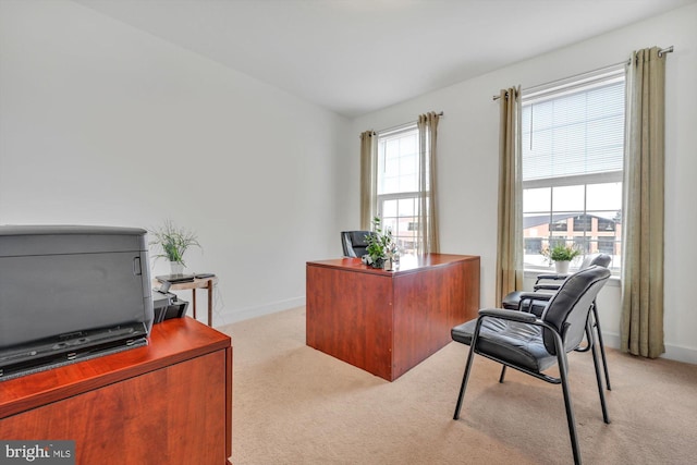 office featuring light colored carpet