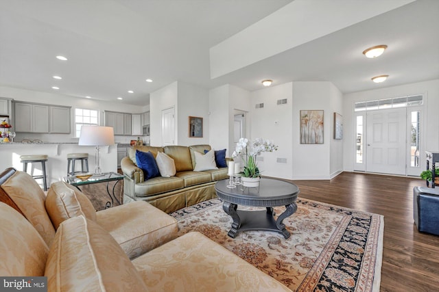 living room with dark hardwood / wood-style flooring