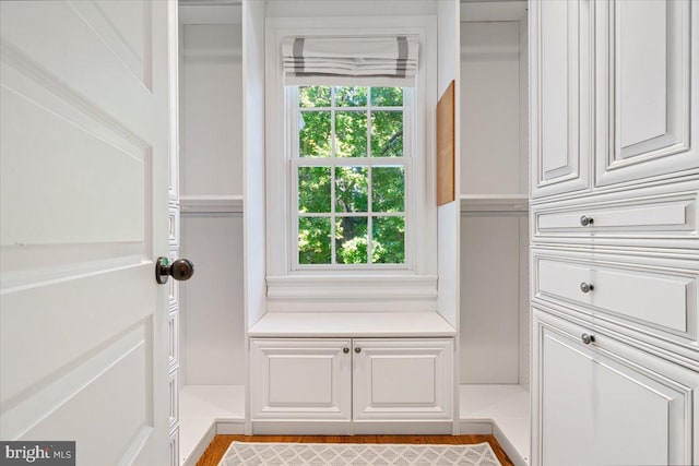 spacious closet featuring light hardwood / wood-style flooring