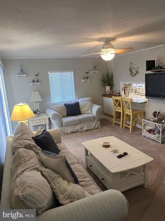 carpeted living room with ceiling fan and a textured ceiling