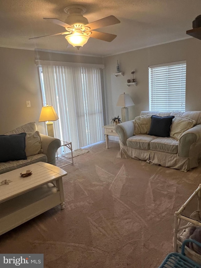 living room with ceiling fan, carpet, and crown molding