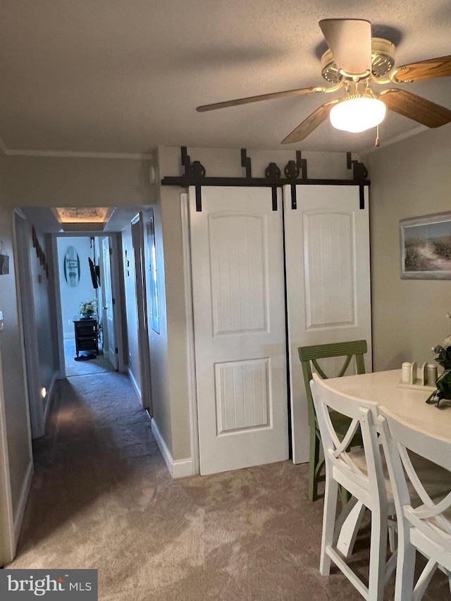 interior space with carpet and a barn door