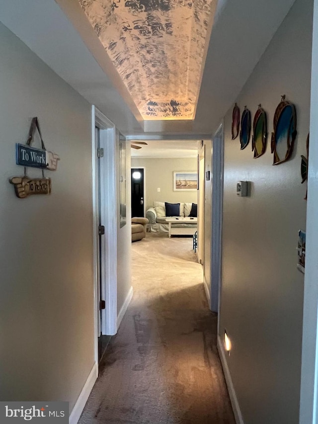 hallway featuring carpet flooring