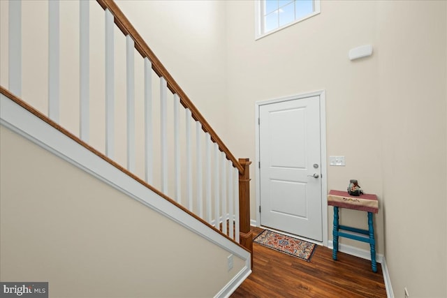 foyer entrance featuring dark wood-type flooring