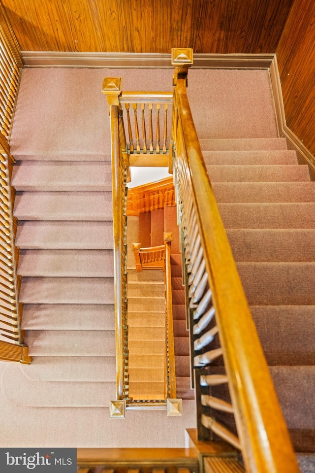 stairs with carpet flooring and wood ceiling