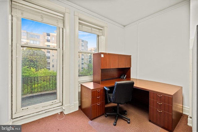 home office featuring ornamental molding and carpet floors