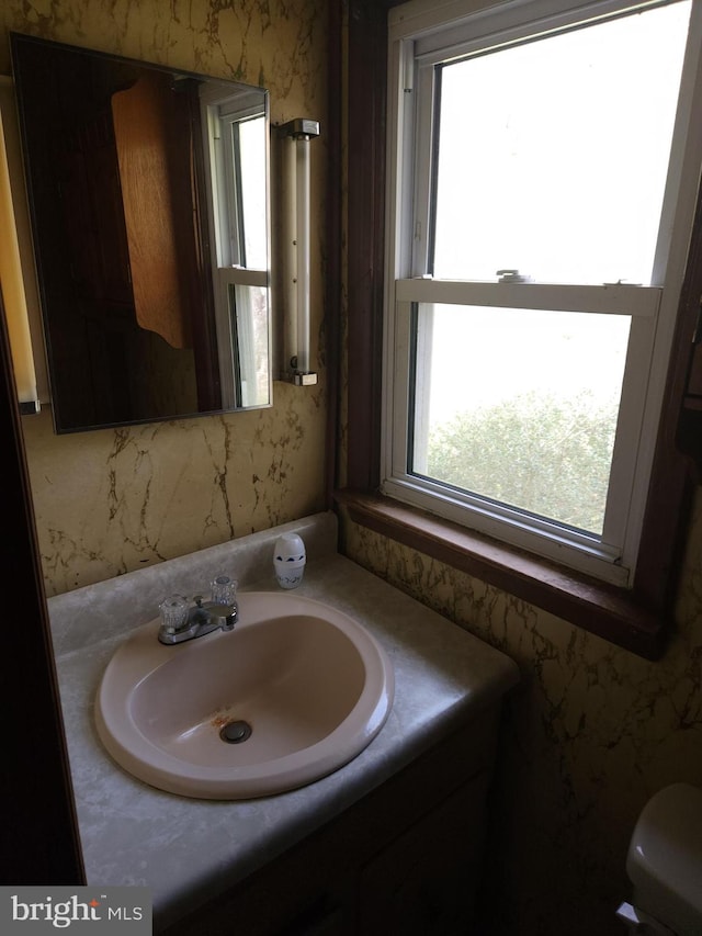 bathroom with toilet and vanity