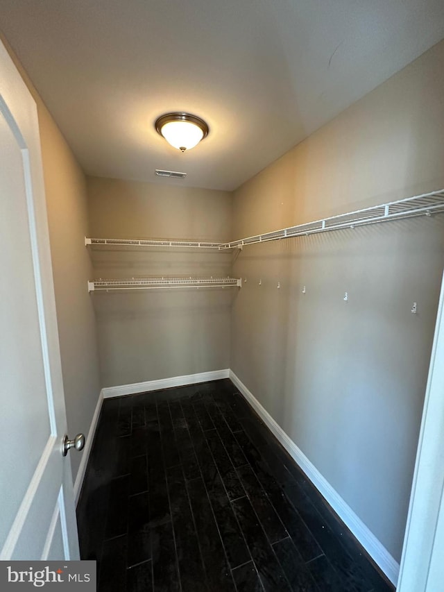 spacious closet featuring dark hardwood / wood-style flooring