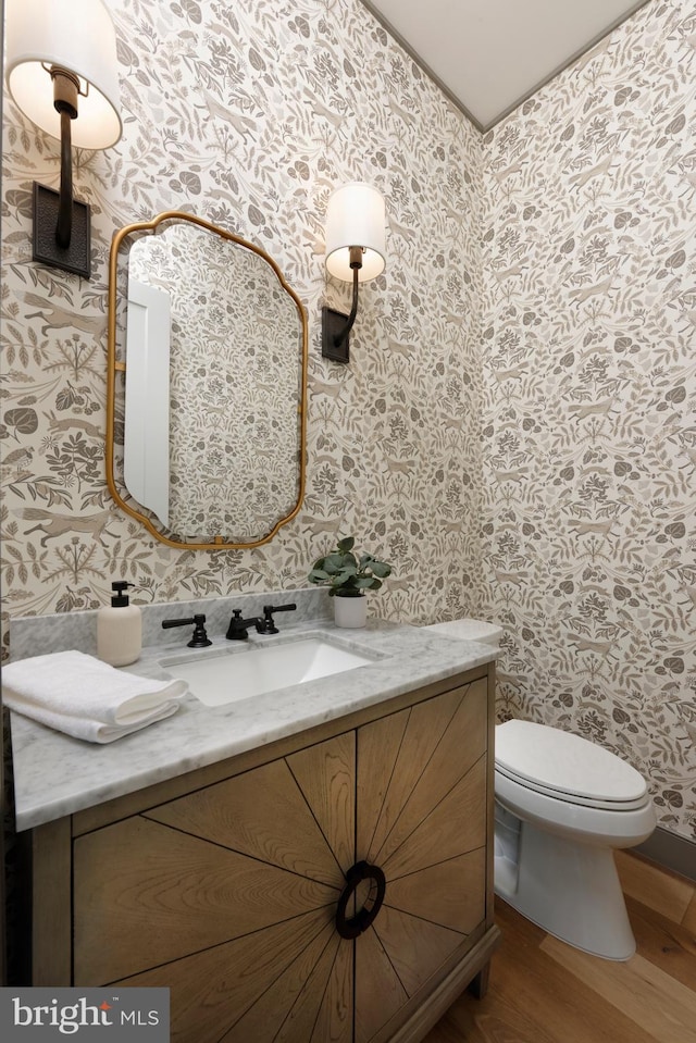 bathroom featuring vanity, wood-type flooring, and toilet