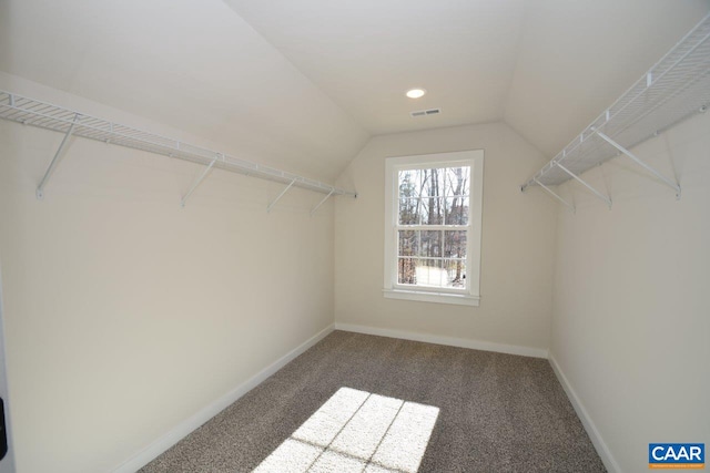 spacious closet with lofted ceiling and carpet floors