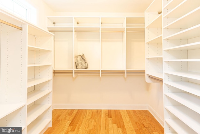 walk in closet featuring wood-type flooring