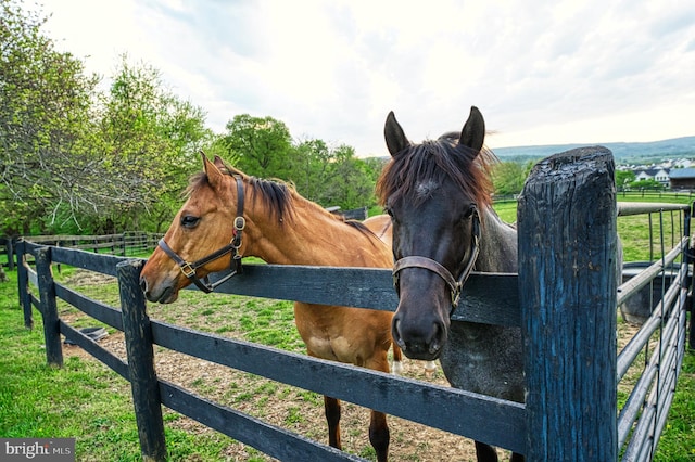 view of horse barn featuring a rural view