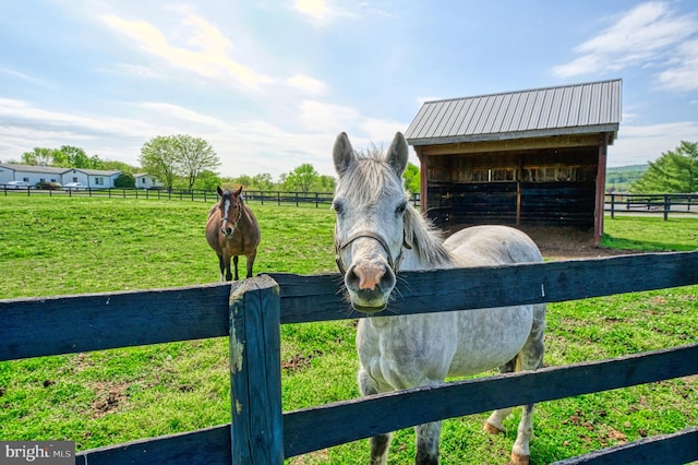 exterior space featuring a yard and a rural view