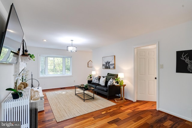 living room featuring hardwood / wood-style flooring