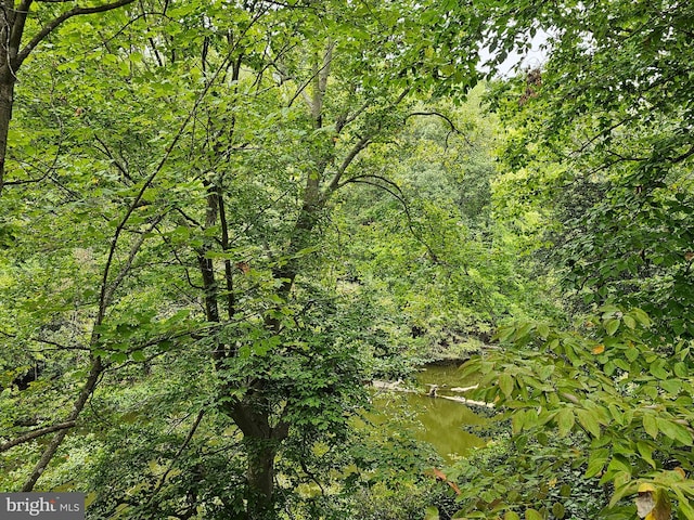 view of local wilderness featuring a water view