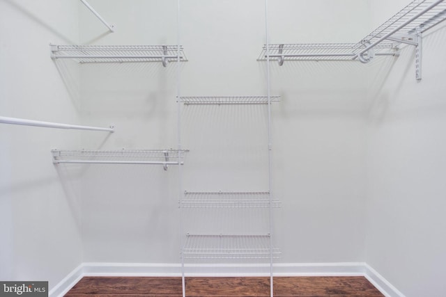 spacious closet featuring hardwood / wood-style flooring