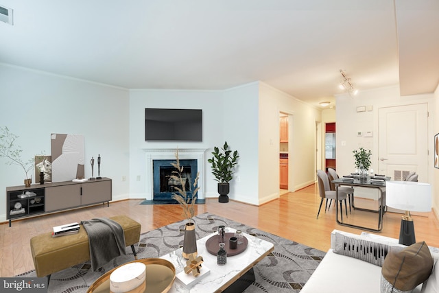 living room featuring ornamental molding, wood-type flooring, and rail lighting