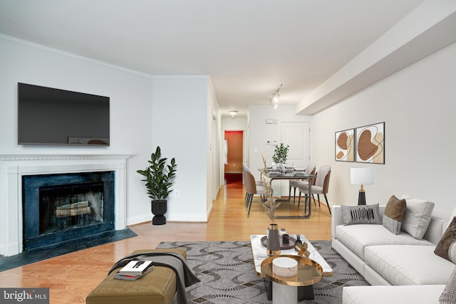 living room with rail lighting and hardwood / wood-style flooring