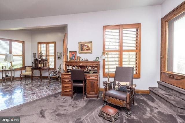 sitting room with plenty of natural light and carpet flooring