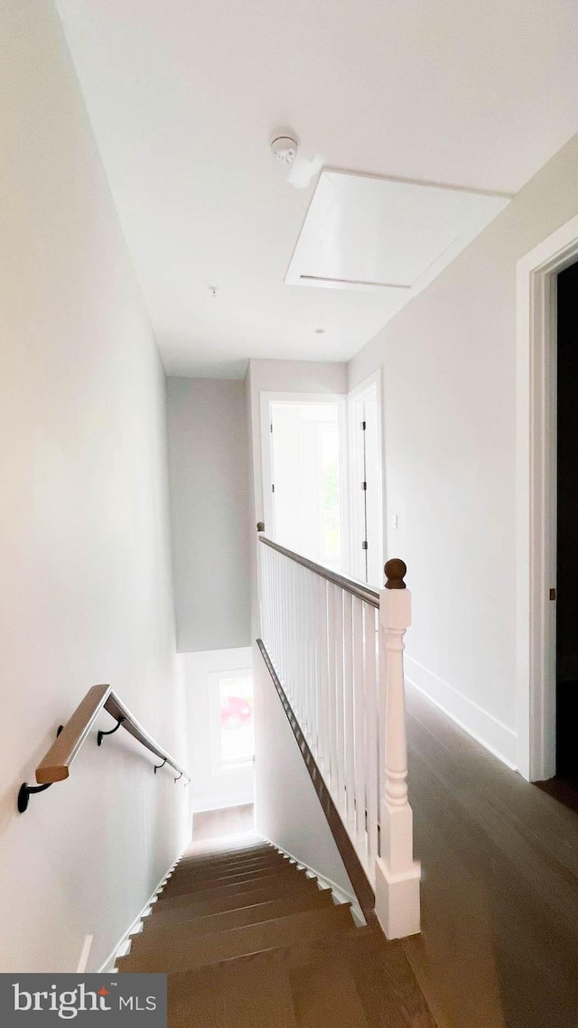 staircase with carpet floors