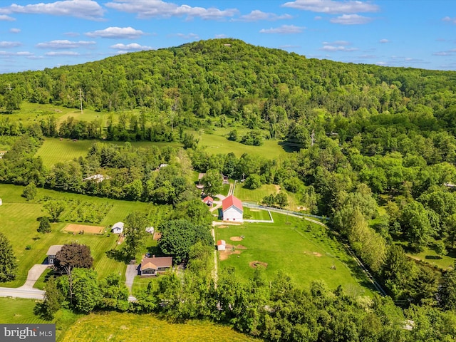 view of drone / aerial view