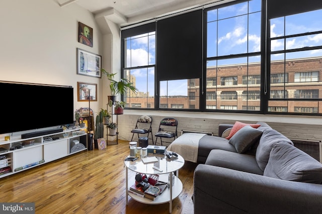 living room featuring a healthy amount of sunlight and hardwood / wood-style floors