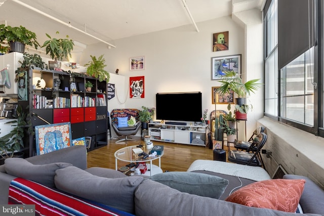 living room with wood-type flooring