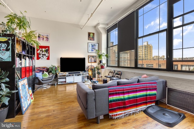 living room featuring hardwood / wood-style flooring