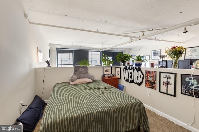 bedroom with carpet floors