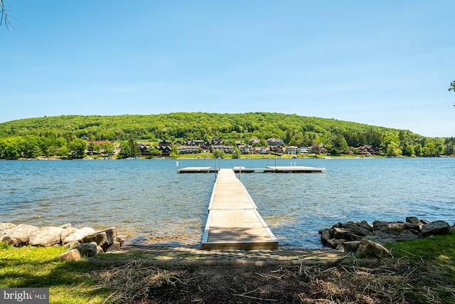 view of dock featuring a water view