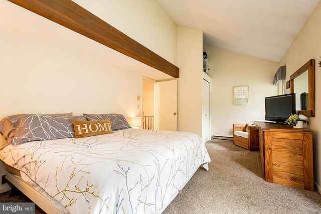 carpeted bedroom with lofted ceiling