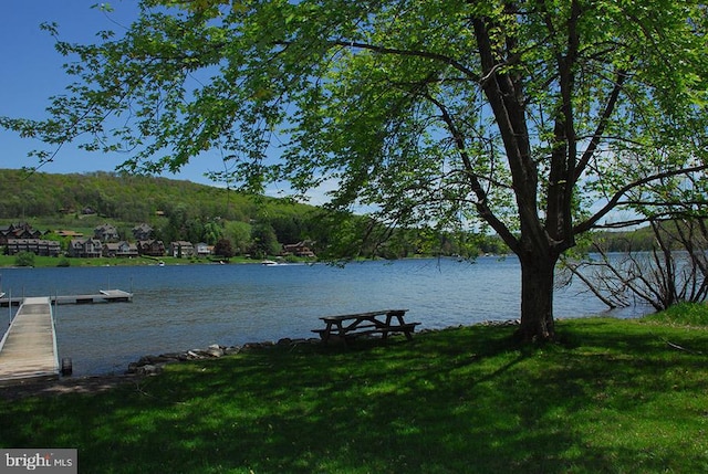 property view of water with a boat dock