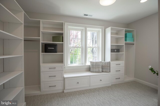 interior space featuring light carpet