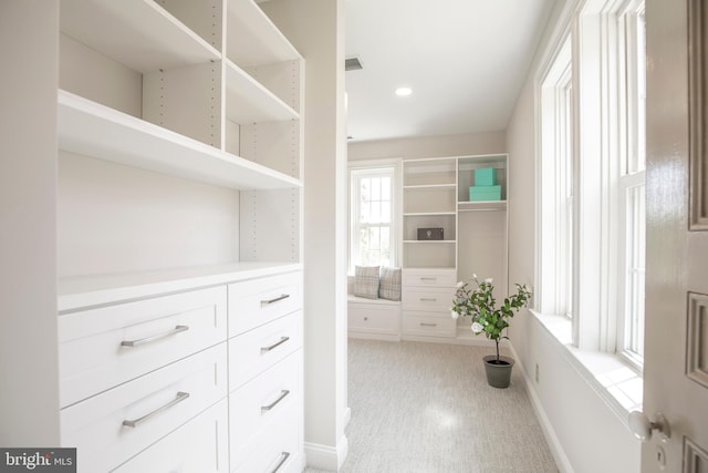 spacious closet with light carpet