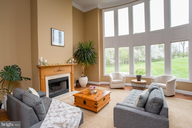 living room with light hardwood / wood-style floors, ornamental molding, a fireplace, and a high ceiling