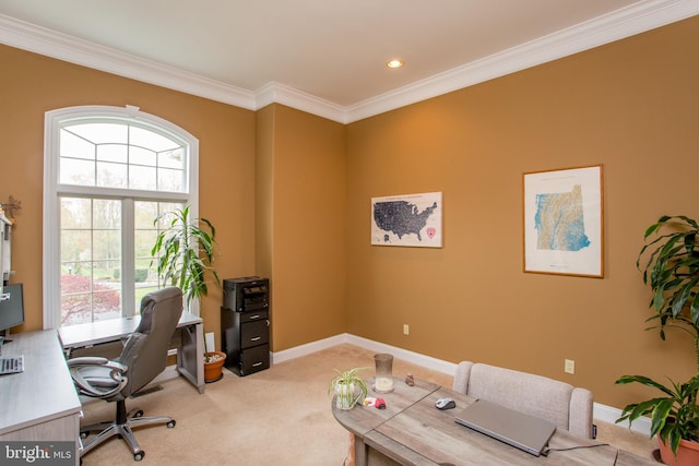 office area featuring ornamental molding and light colored carpet