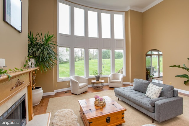 living room with crown molding, light wood-type flooring, and a high ceiling