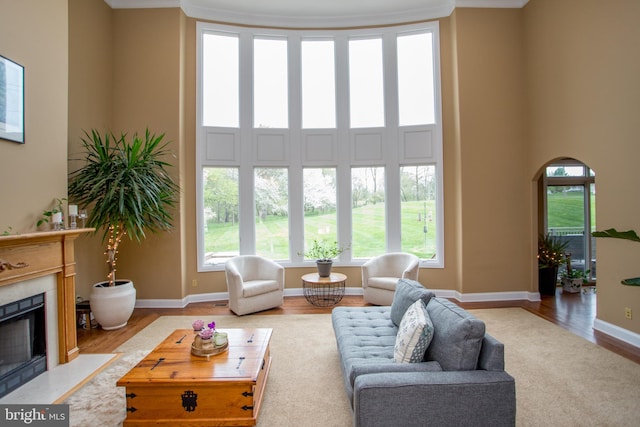 living room with light hardwood / wood-style floors, a high ceiling, and plenty of natural light