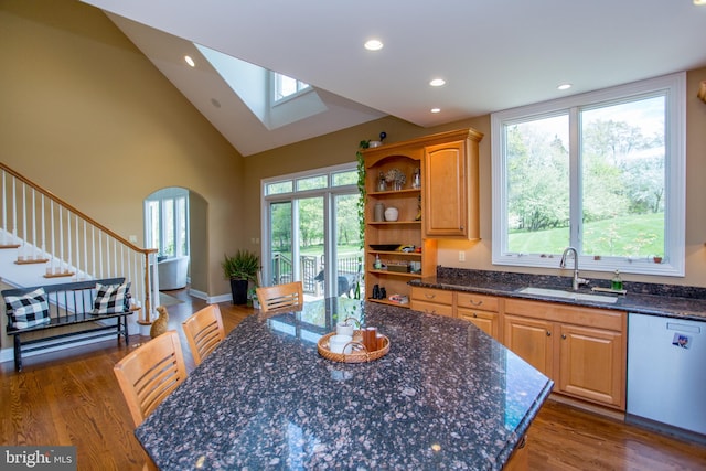 kitchen featuring sink, dark hardwood / wood-style flooring, dishwasher, and plenty of natural light