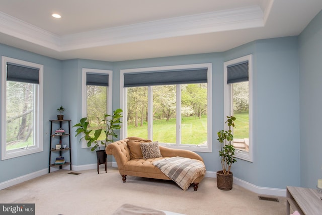 sitting room with crown molding, a raised ceiling, and carpet