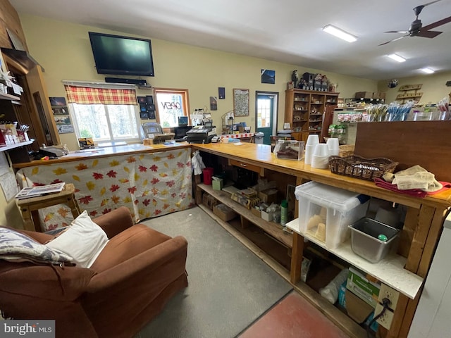 office space with carpet flooring and ceiling fan