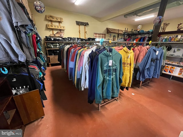 view of spacious closet