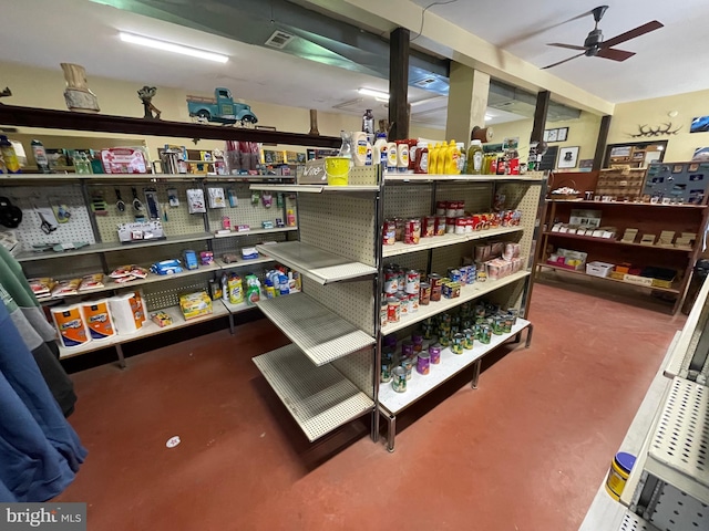 storage room with ceiling fan